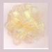 P15-020 #29 Ivory